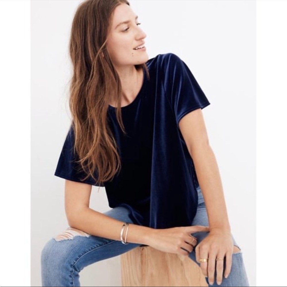 Madewell Blue Velvet Butterfly Blouse Sz M
